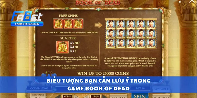 Biểu tượng bạn cần lưu ý trong game Book of Dead