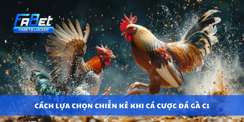 Cách lựa chọn chiến kê khi cá cược đá gà C1
