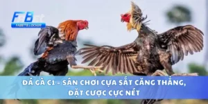 Đá Gà C1 – Sân Chơi Cựa Sắt Căng Thẳng, Đặt Cược Cực Nét