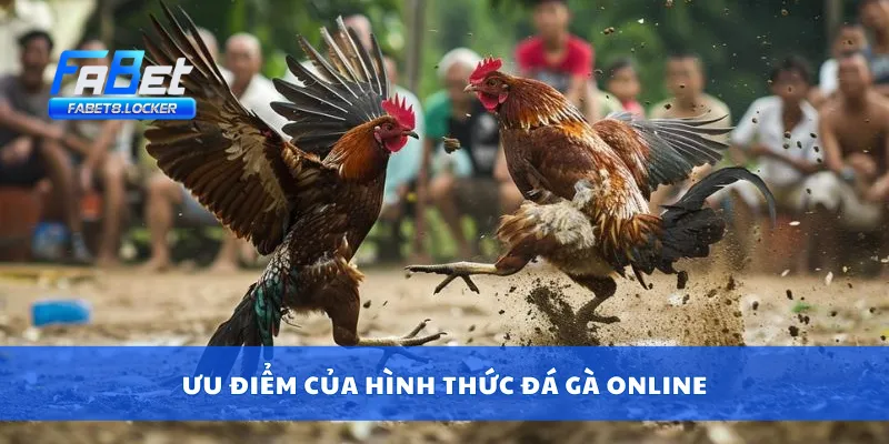 Ưu điểm của hình thức đá gà online